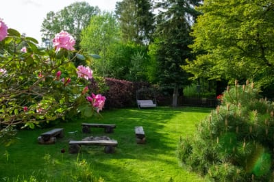 Benefits Of Spring Yard Cleanups