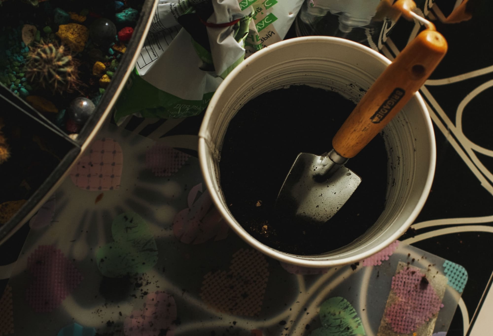 Transplanting Outdoors Step-by-Step Guide