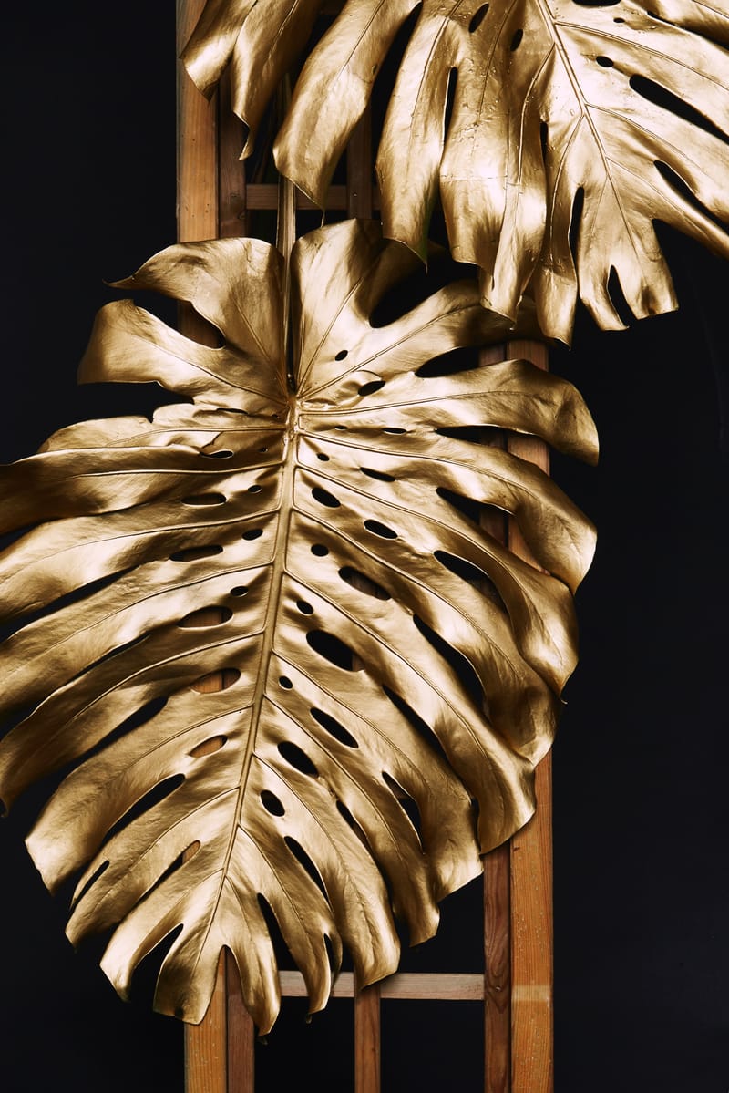 Gold Investment Advisory