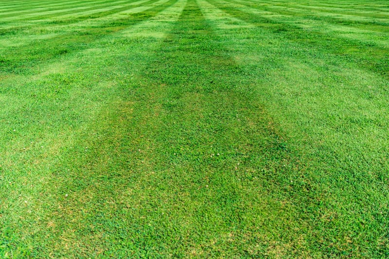 Lawn Care