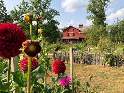 HOW CASH FOR HOUSES WORK? image