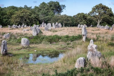 MÉGALITHES DE MONTAUBAN EN CARNAC : ILS NE POUVAIENT PAS DIRE QU'ILS NE SAVAIENT PAS !