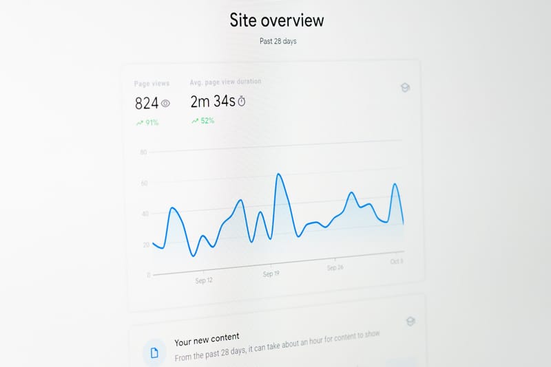 Website Audit
