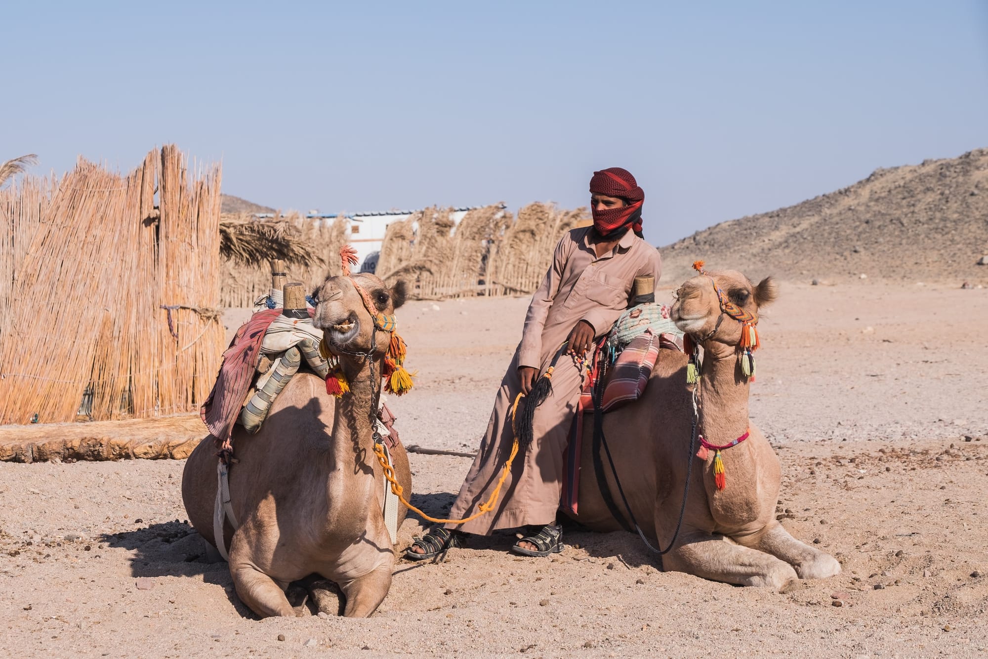 BEDOUIN VILLAGE TOUR