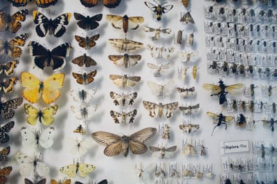 شركة الصياد لمكافحة الحشرات والتنظيفات 026412323 يعد تنظيف المنازل شيء ضروري التي تستخدمها شركات تنظيف المنازل في ابوظبي والإمارات بشكل عام فائقة الجودة، وتقدم هذه الشركات مجموعة خدمات مميزة وشاملة باحترافية عالية، مثل خدمات التعقيم الخارجية والداخلية، بالإضافة إلى تنظيف خزانات المياه ابوظبي والعديد من الأمور الأخرى التي لا تخطر ببالك. للباحثين عن شركة تنظيف في ابوظبي بمستوى احترافي مميز، سنسلط الضوء في هذا المقال على أفضل شركات تنظيف منازل ابوظبي وأكثرها شهرة.