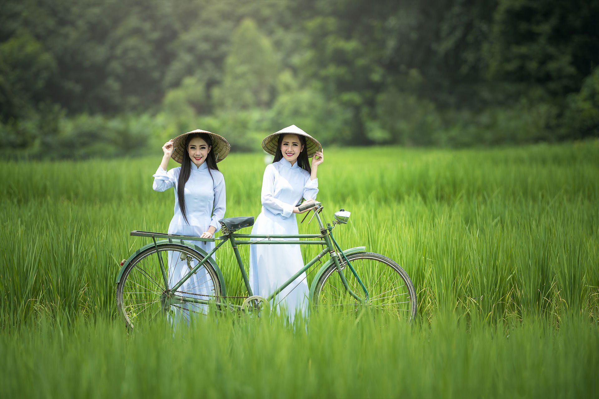 Vietnam Discovery - 15 Days / 14 Nights