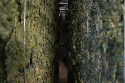 commandez en trois étapes image