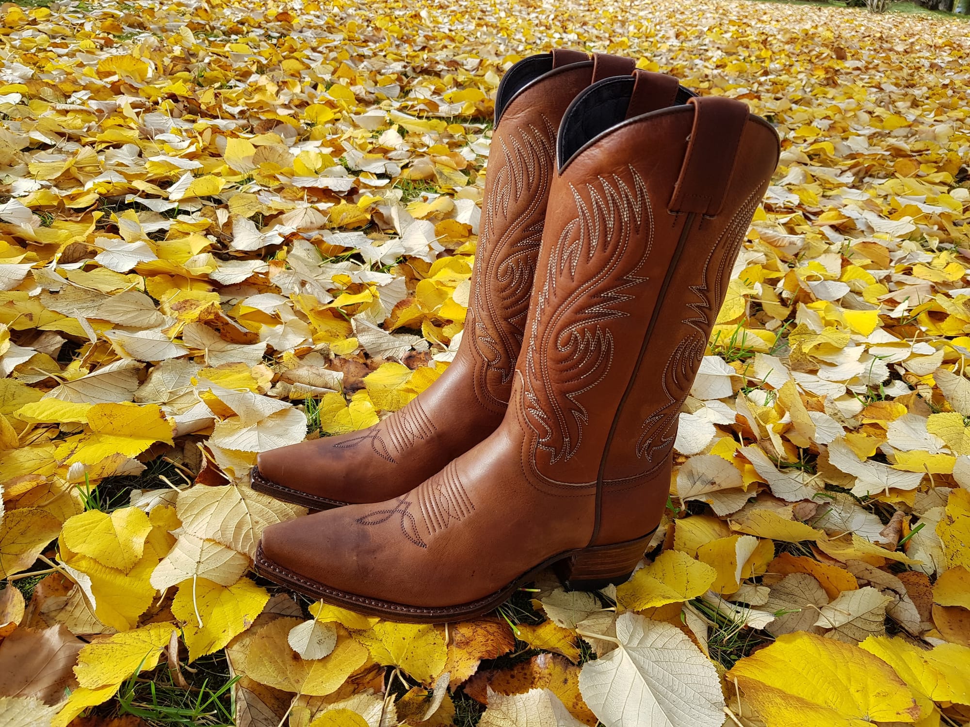 Las botas cowboy son tendencia ahora en cualquier estación del año.