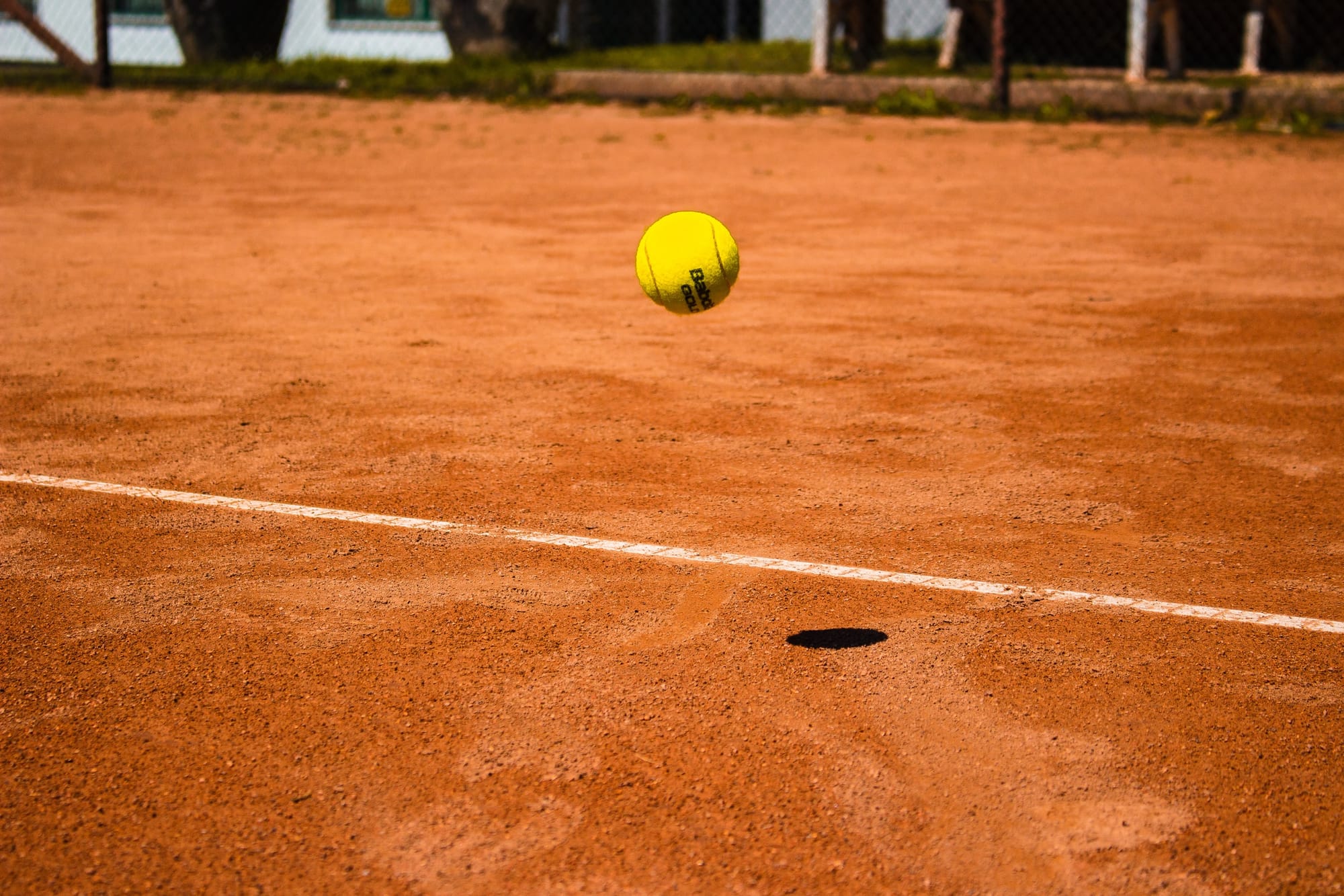 7 Softball Stars