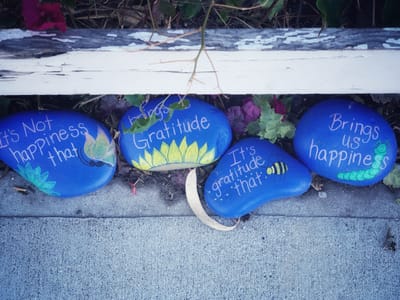 Unlocking the Power of Gratitude: How Keeping a Gratitude Journal Helps the Brain Make New Connections