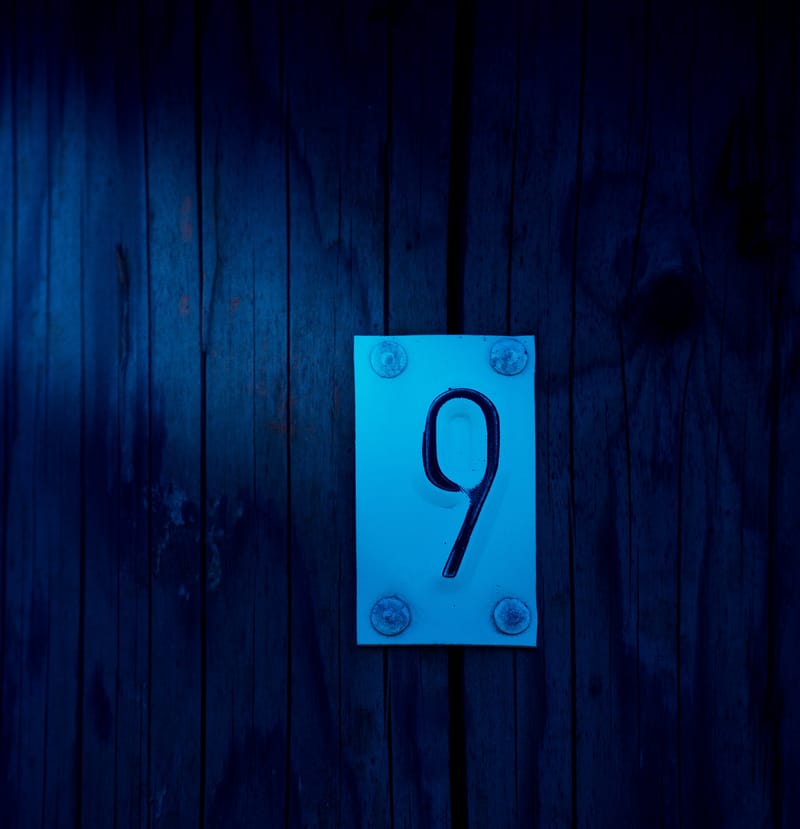 Forecast for people with root number 9