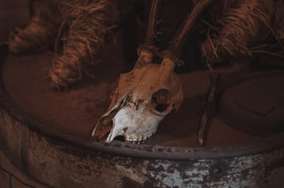WITCH DOCTOR IN PRAGUE CZECHIA