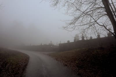 Décision Tribunal administratif de Poitiers / Jurisprudence