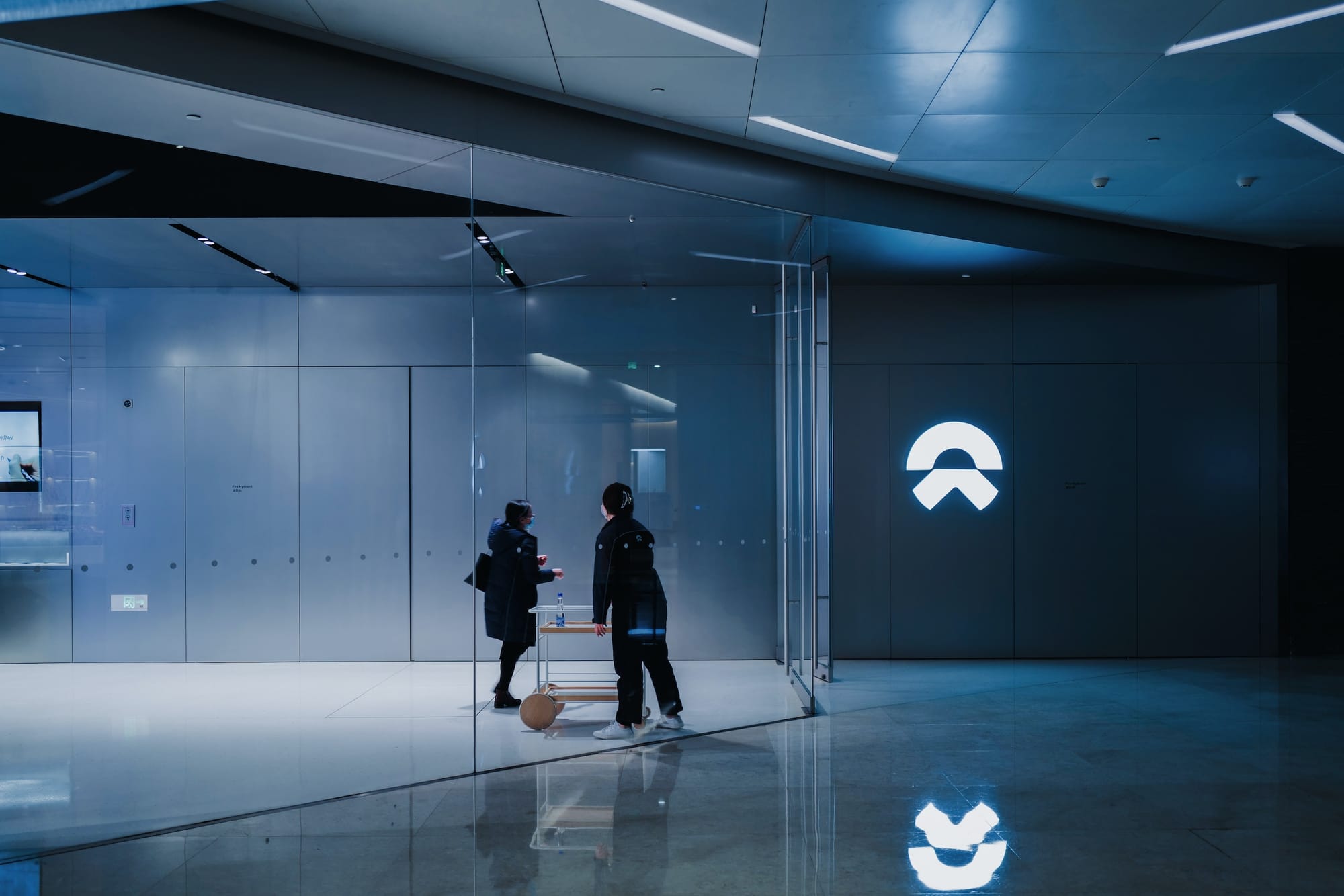 OAS INSIGHT: THE PROSPECTS AND FUTURE OF GUARDIAN AGENTS