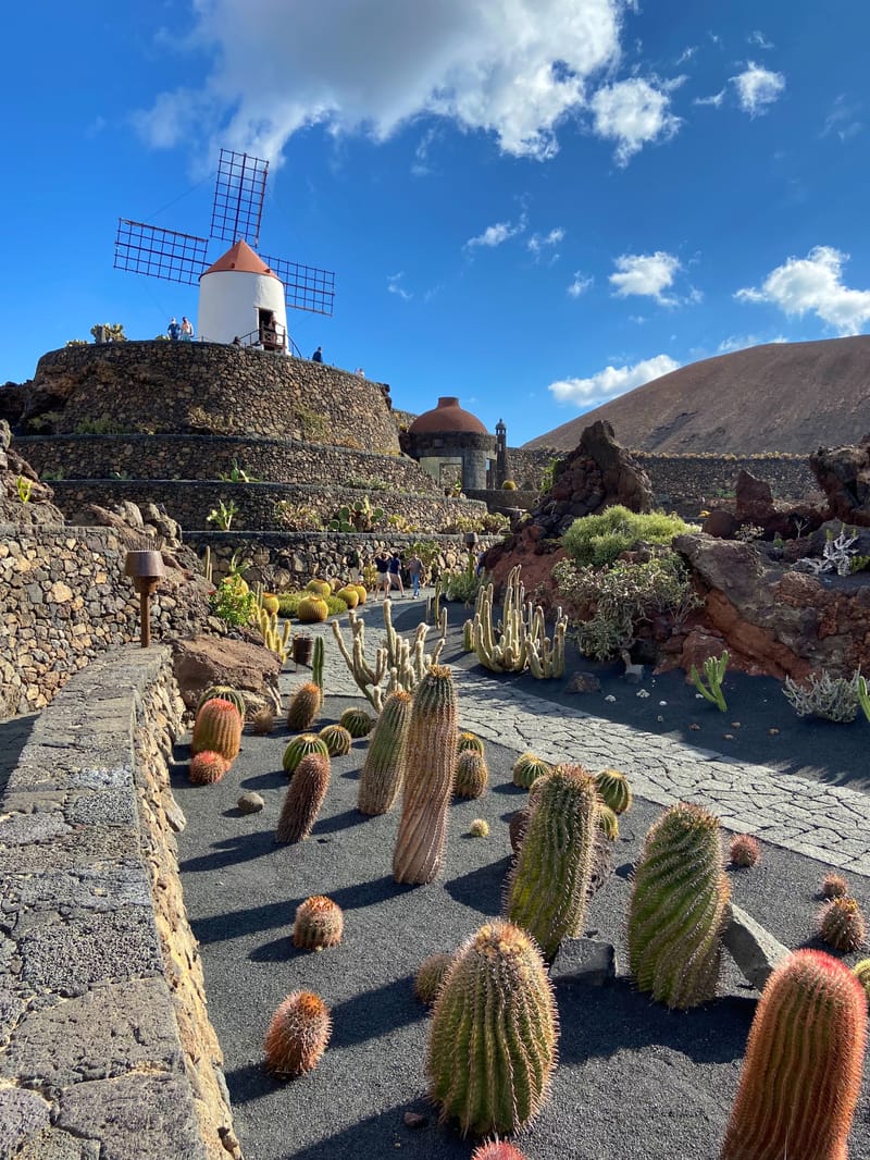 SEJOUR A LANZAROTE du 10 au 17 MAI 2025