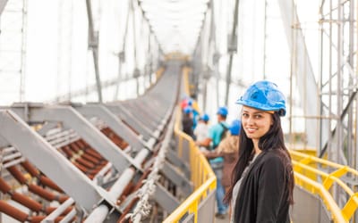 COMO VOCÊ ENFRENTARÁ O MERCADO DE TRABALHO?