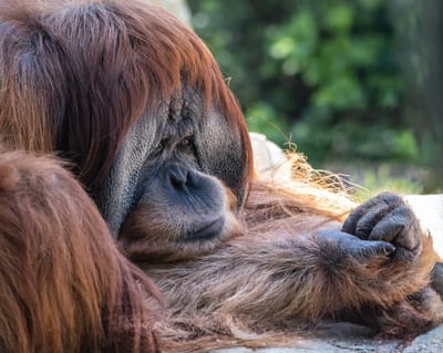 Avoid the trap of just "killing time until the time kills you"