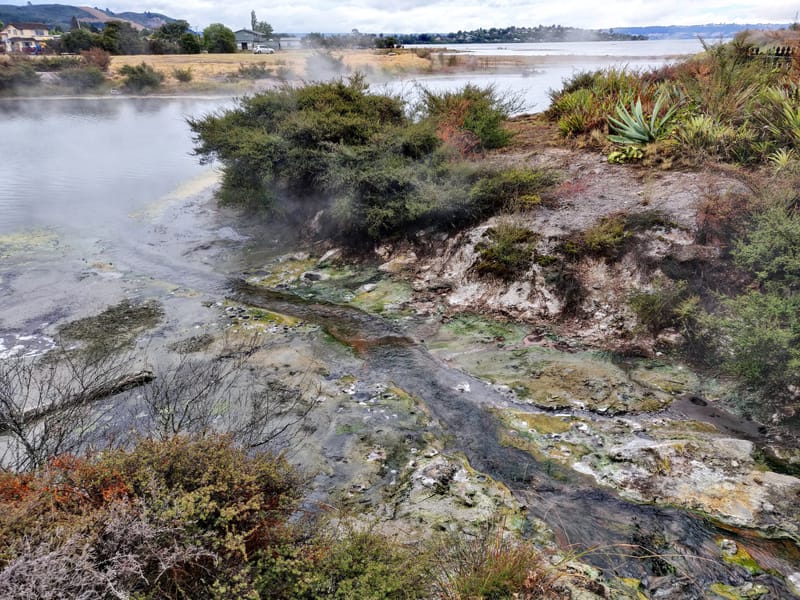 Rotorua