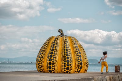 Yayoi Kusama image