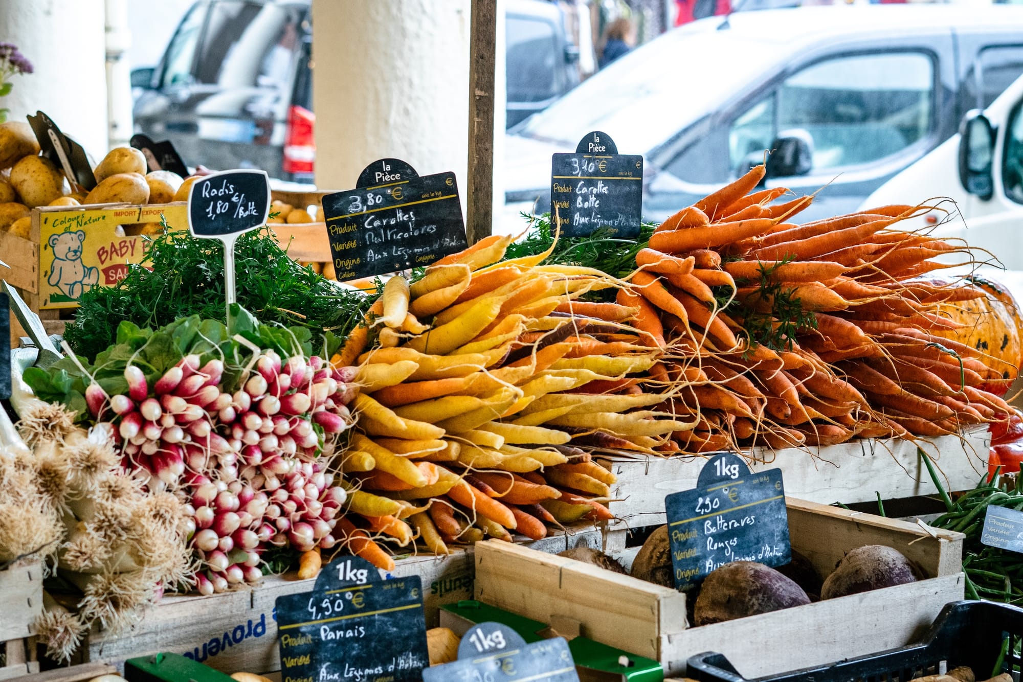 Fiche métier : Horticulteur