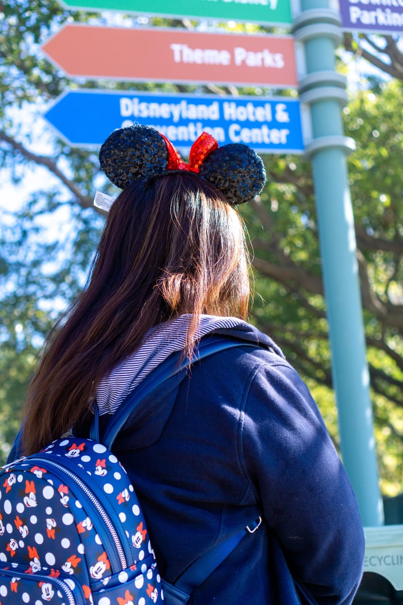 Disney Vacations and Cruises