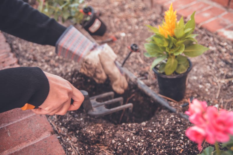 How to Garden the Way You Want - A Review of the Best Garden Tools and Techniques