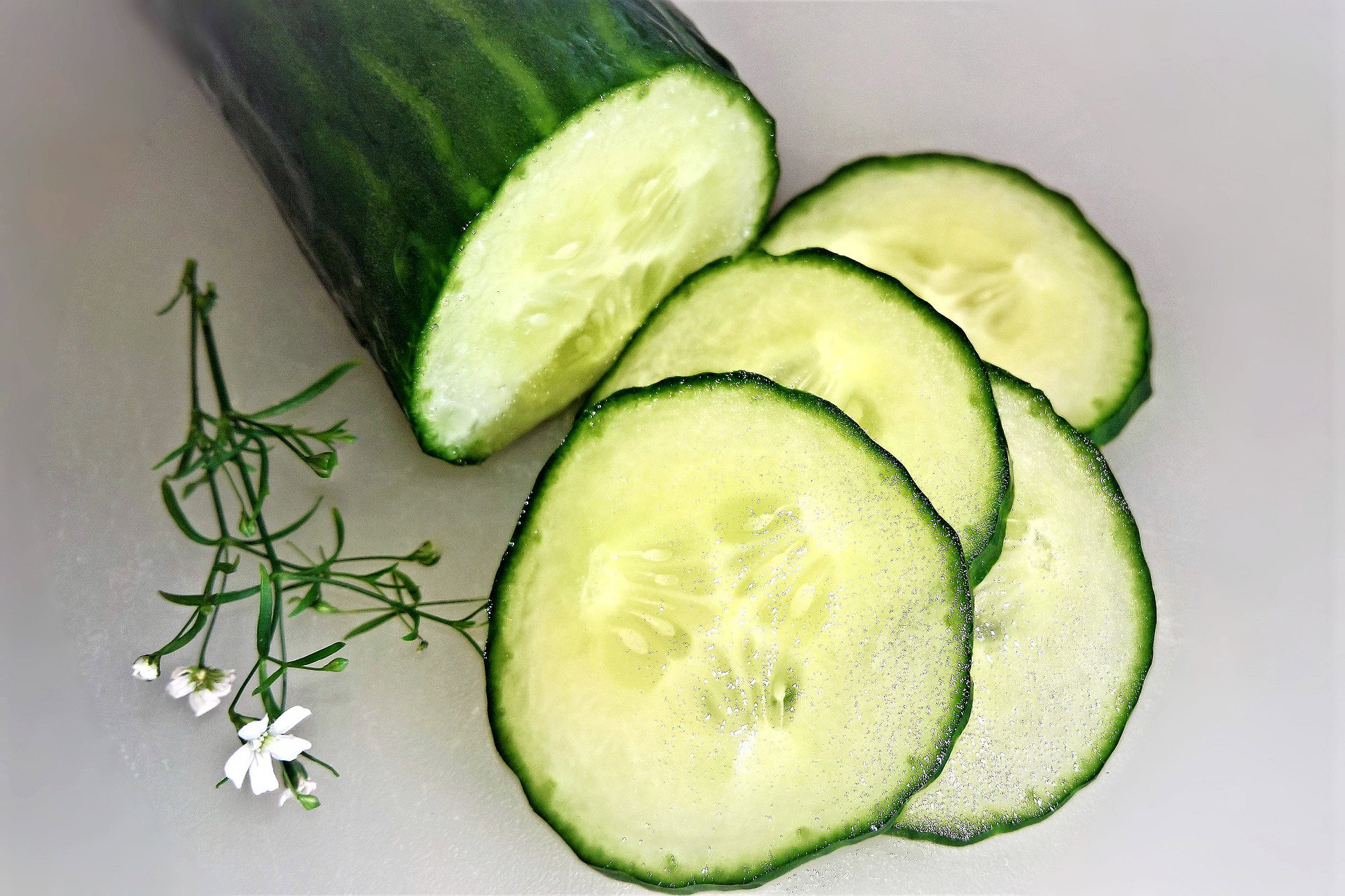 Så gurka, melon och squash – den ultimata guiden för gurkväxter