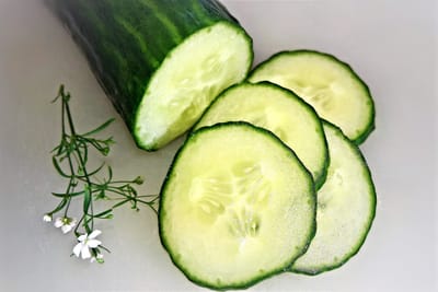 Så gurka, melon och squash – den ultimata guiden för gurkväxter