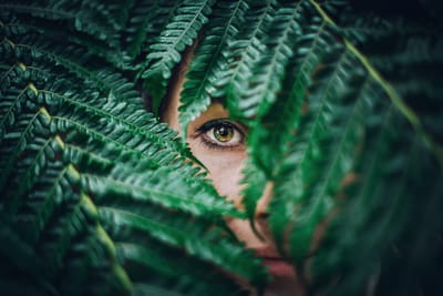 Piercing Eyes