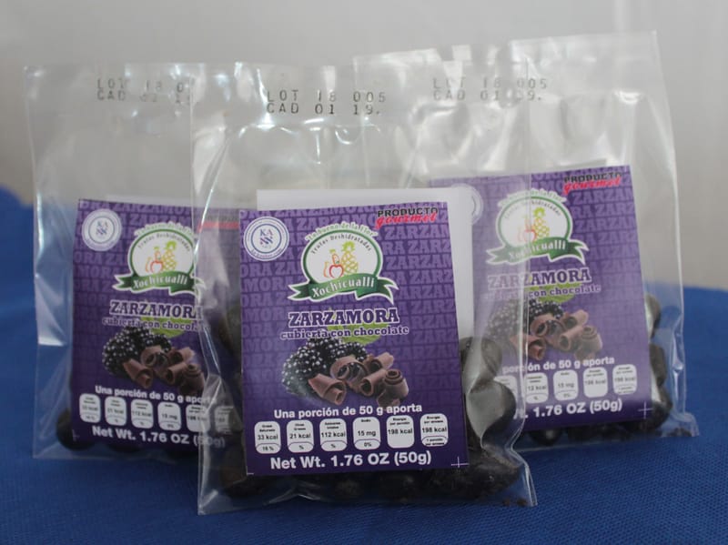 Zarzamora con chocolate Xochicualli