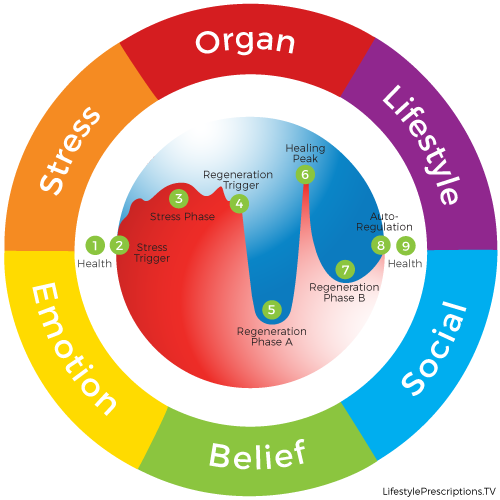 Lifestyle Prescription Health Coaching