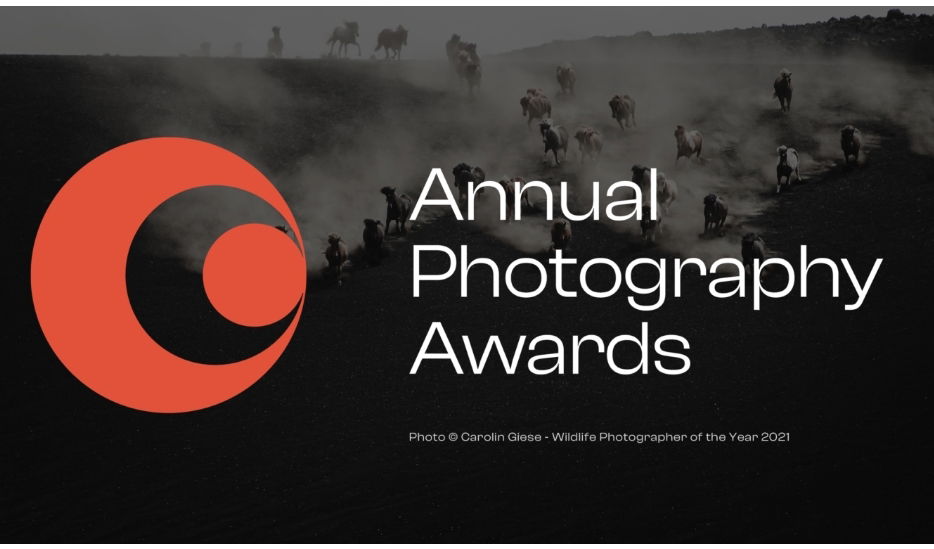 Annual Photography Awards