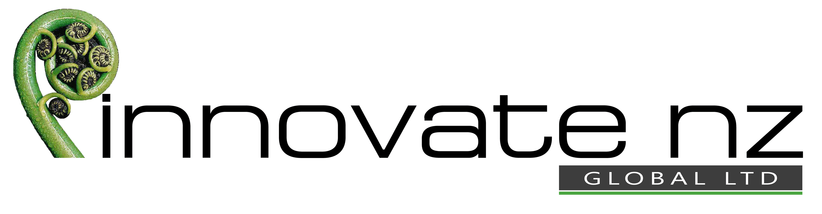 INNOVATE NZ GLOBAL LTD