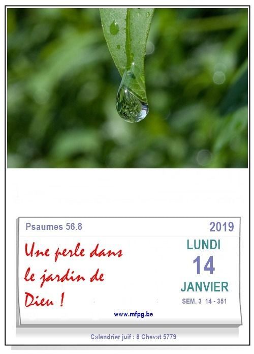 Une perle dans le jardin de Dieu !