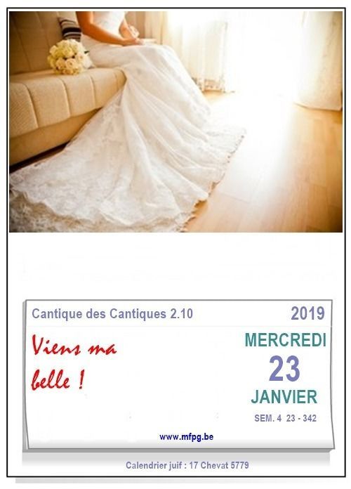 Viens ma belle !