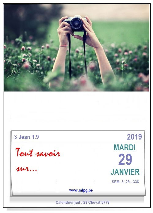 Tout savoir sur…