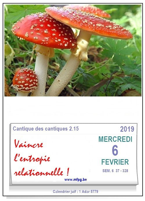 Vaincre l’entropie relationnelle !