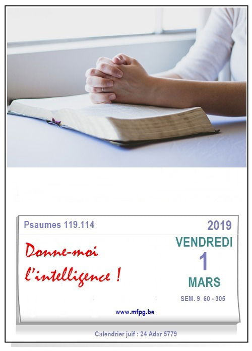 Donne-moi l’intelligence !