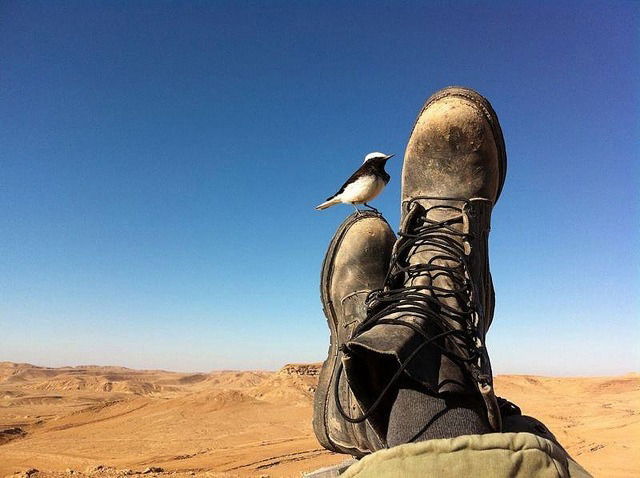 Ote tes souliers !