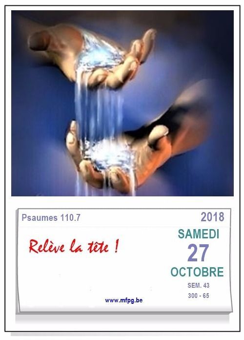 Relève la tête !