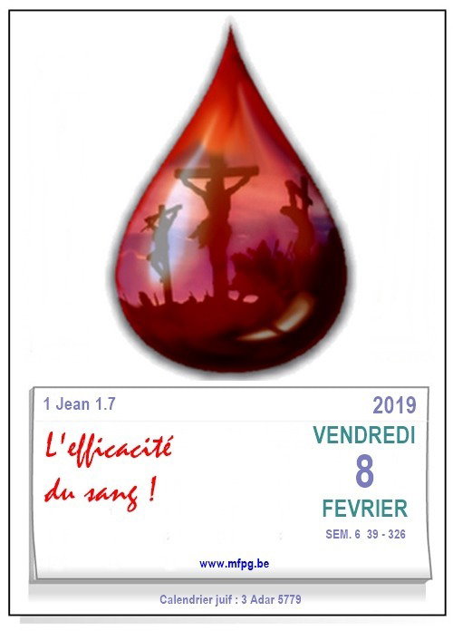 L’efficacité du sang !