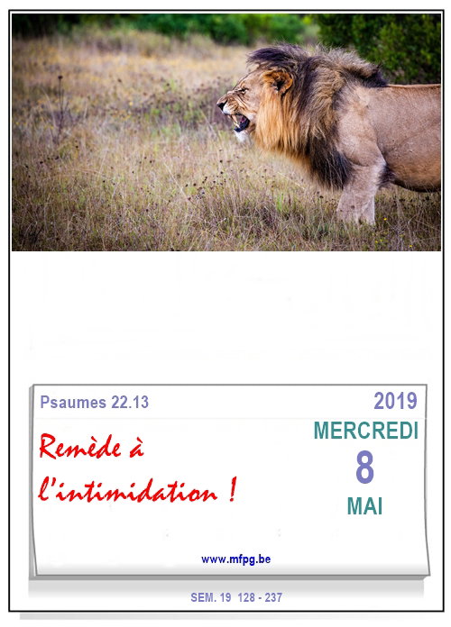 Remède à l’intimidation !