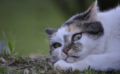 Confiance en personne !