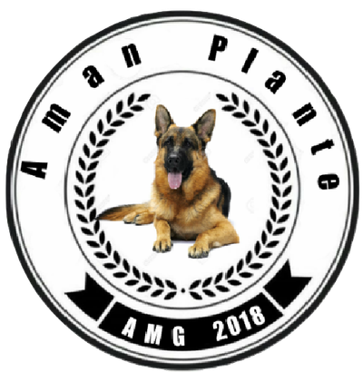 Aman Plante