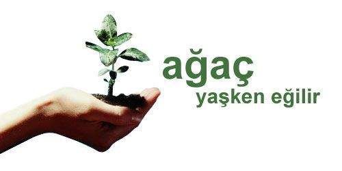 AĞAÇ  YAŞKEN EĞİLİR