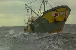 ASSOCIATION FÉCAMP TERRE-NEUVE