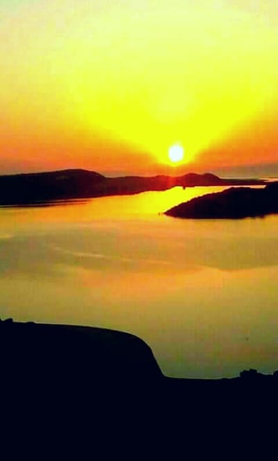 التالي  image