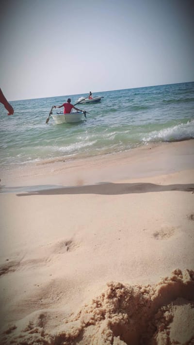 التالي  image
