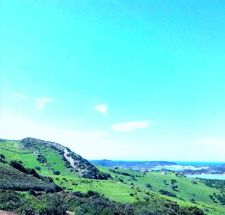 الزوارع بنفزة     قبل الوصول إلى  وشتاتة تطالعك لافتة كتب عليها " شاطئ الزوارع". ومنذ أن يحول المتجول اتجاهه إلى الشاطئ إلا ويخيل إليه أنه يسير في طريق بريف سويسرا لكثافة أشجار الصنوبر  وانسجامها وتناسقها مع مختلف الأشجار الغابية الأخرى على طول المسافة. ودون أن يغير اتجاهه إلى سد سيد البراق يتراءى له من المرتفع شط الزوارع الذي كسرت زرقته وتلاطم أمواجه خضرة الجبال المتاخمة له.  المكان جميل بمن حل فيه من المصطافين الذين جاء جلهم من مدينة باجة ومختلف معتمدياتها للتمتع بهدوء ونظافة شاطئ الزوارع الذي يشكل انفتاح ولاية باجة على البحر من جهة نفزة