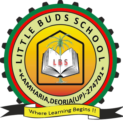 littlebudschool